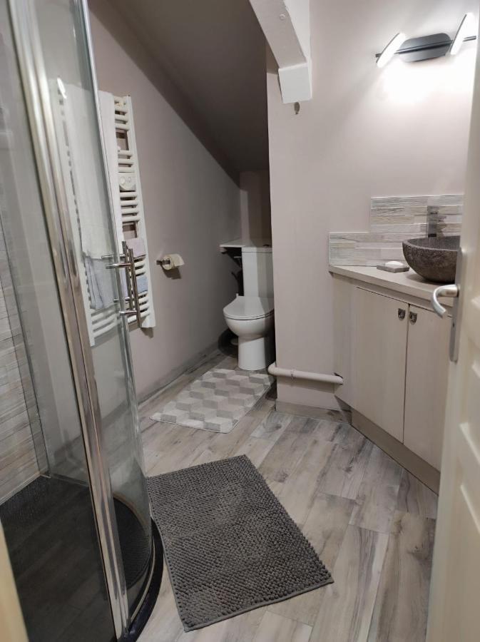 Location T2 Proche Annecy Apartment Meythet Bagian luar foto